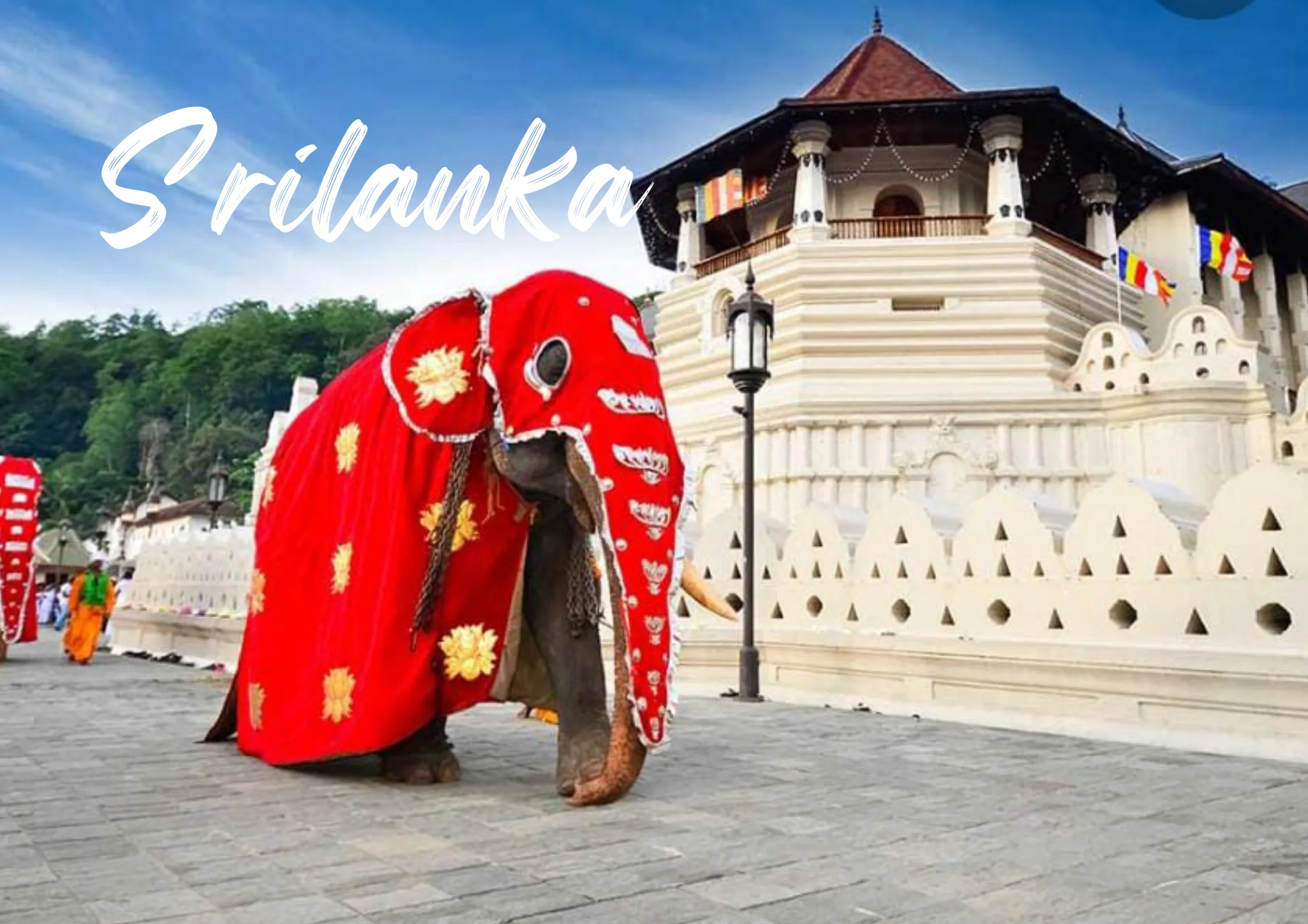 Book Sri Lanka holiday packages / tour packages